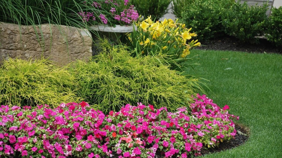 A flower bed in the landscape of a house