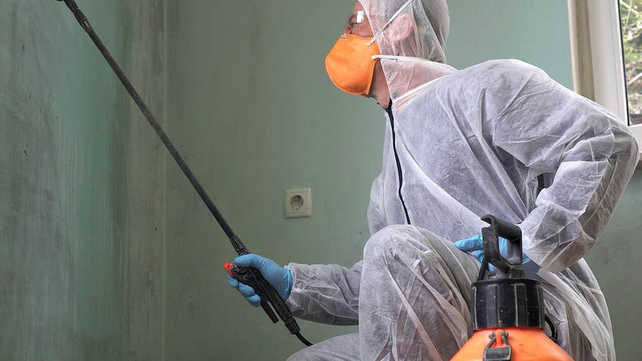 Professional in protective suit removing mold from home